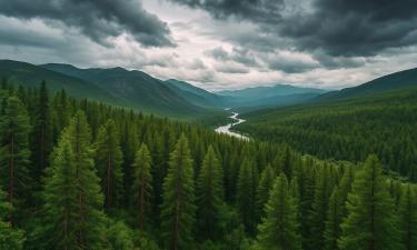 В эпицентре Тунгусского взрыва отсутствует кратер