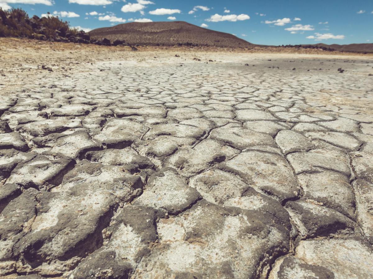 Засуха длилась 113 лет и разрушила города Инда ТАСС