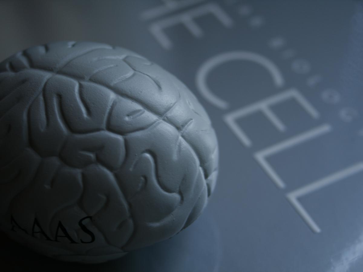 Ключ к разгадке шизофрении и болезни Альцгеймера: гиппокамп влияет на нашу память