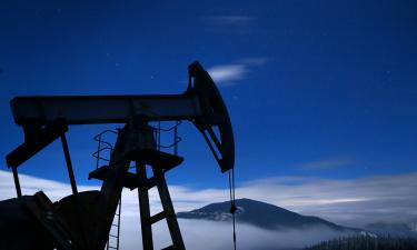 Власти Башкирии планируют продать часть акций "Башнефти"