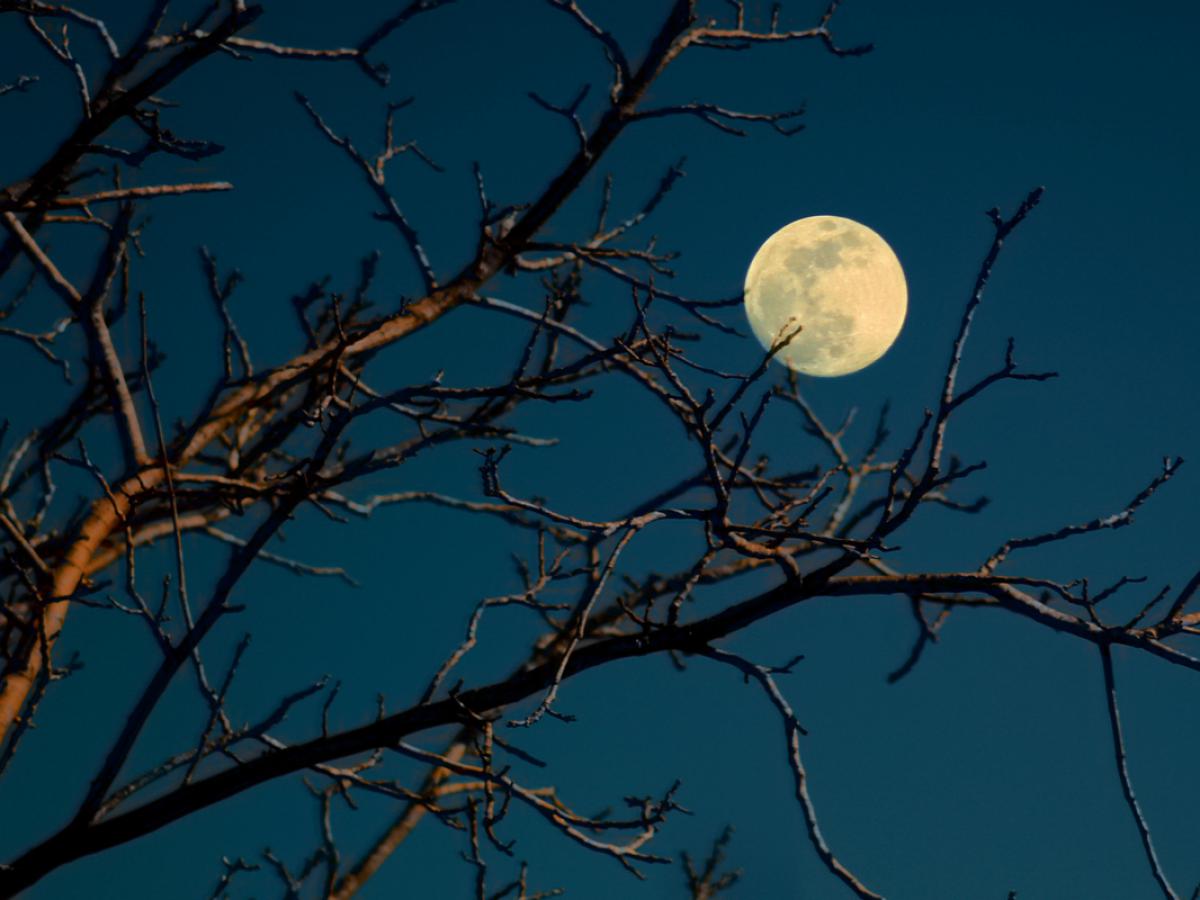 Тепло под поверхностью: что скрывает внутренняя сторона Луны