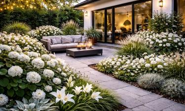 Белый цвет станет основой монохромных клумб в 2026 году