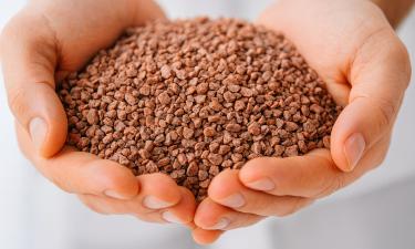 Экспорт удобрений из России в страны Африки увеличился на 31,3% — Минсельхоз РФ