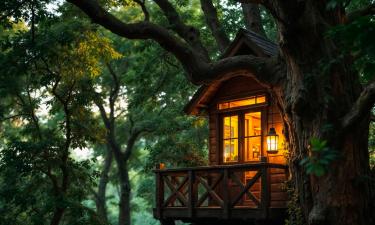 Дуб, клён, ясень и ель подходят для строительства домика на дереве