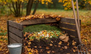 Мусор, который работает лучше навоза: садоводы смеются, но потом собирают рекордный урожай