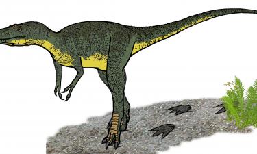 Парк Юрского периода без мифов: отдельный вид нанотираннуса ломает привычный образ меловых хищников