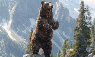 Медведь разгромил авто у озера Тахо из-за роковой ошибки туристов