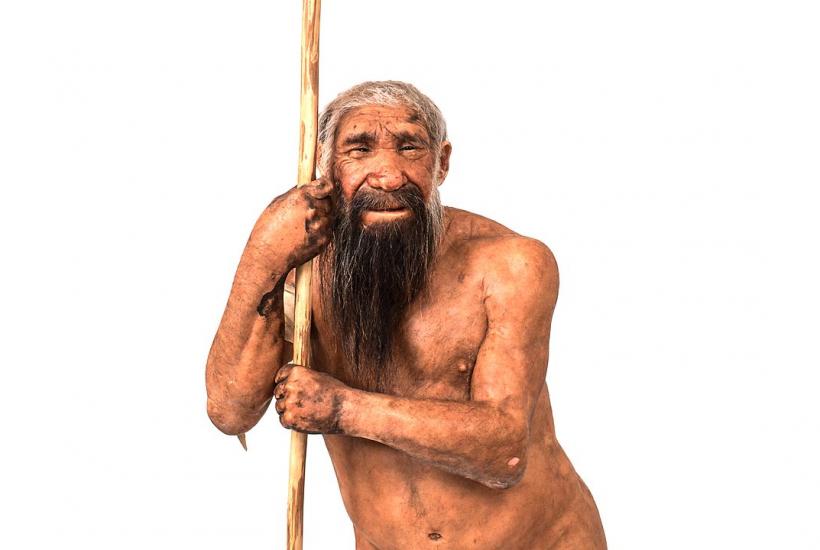 Homo neanderthalensis, реконструкция Homo neanderthalensis, реконструкция