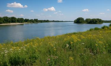 Кофе на вынос дороже: землю у Дона сдают почти даром за каждый квадратный метр