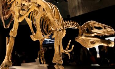 Древний монстр Аргентины: 7-метровый хищник и его странная жертва когда-то ушли в вечность вместе