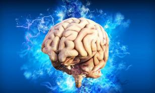 Уменьшение размеров мозга связано с алкоголем