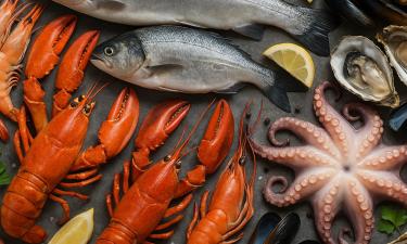 Россия и Вьетнам строят рыбный мост: меморандум на миллионы долларов объединит две страны