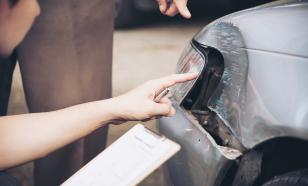 Полнолуние и ДТП с животными: почему опасность возрастает