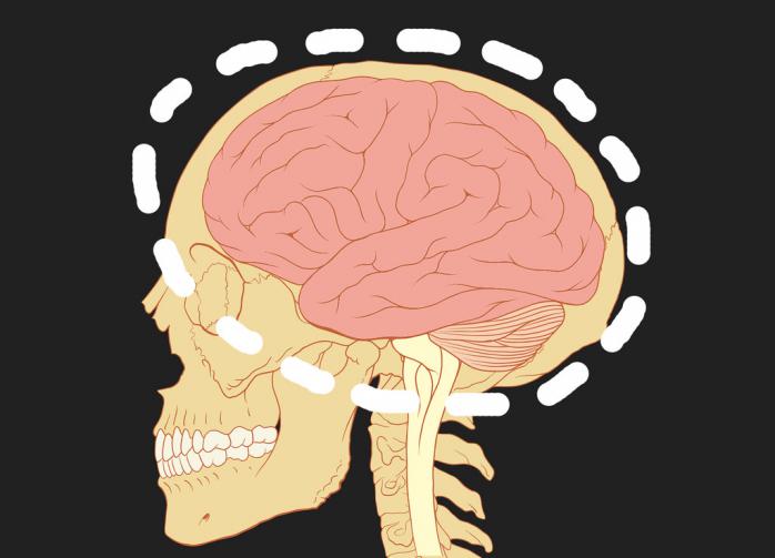 Забывать информацию порой даже полезно для мозга, доказали ученые
