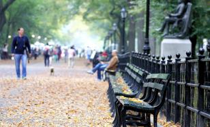 Доктор Мясников рекомендовал прогулки на природе как способ защиты от деменции