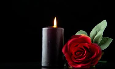 Наследие Татьяны Горичевой: как её идеи о природе и человеке меняют мир