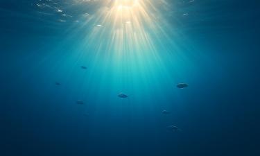 Климатические качели возвращаются: Тихий океан подаёт знаки опасной перемены