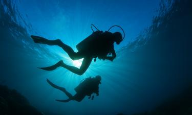 Артефакт с изображением лица нашли в озере Ледница — учёные NCU