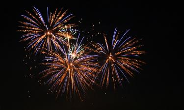 Животных нужно изолировать в тихой комнате при фейерверках — ветеринар Дмитриев