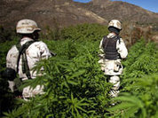 Мексика - гигант в плену наркомафии