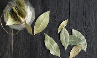 Лаврушка превращается в яд: роковая ошибка, которая незаметно портит суп и здоровье