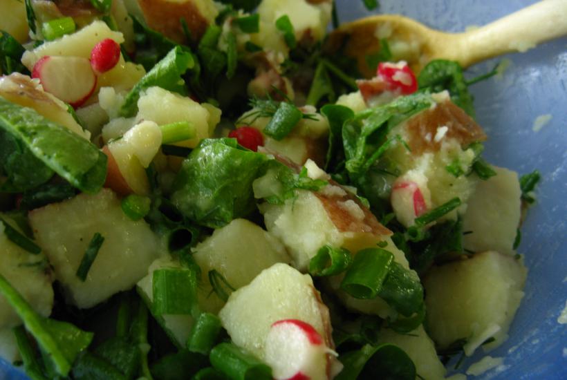 Картофельный салат Картофельный салат