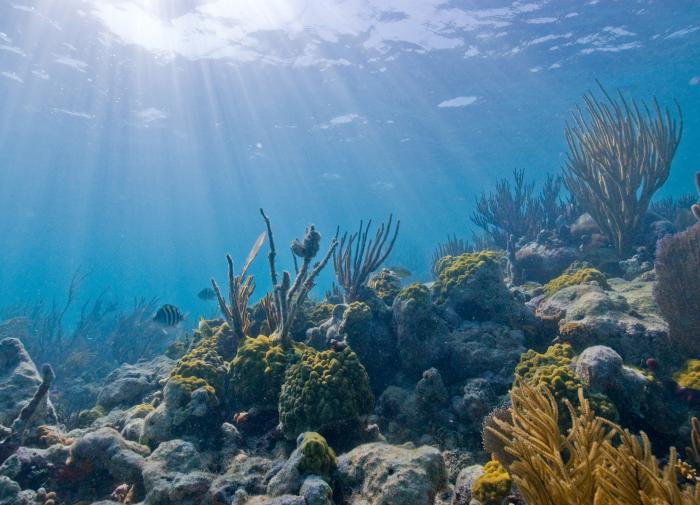 В Балтийском море археологи нашли стену каменного века