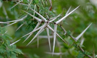 Как Светлана Пермякова нашла общий язык с дочерью-подростком