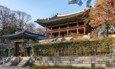 Южная Корея проводит более миллиона пластических операций за год