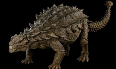 В Канаде нашли идеально сохранившегося нодозавра возрастом 110 миллионов лет — Royal Tyrrell Museum