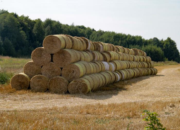 Ученые из КГАУ разработали способ производства топлива из соломы