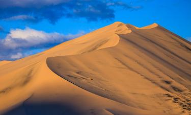 По следам гюрзы и каракурта: чему учат гидов в дагестанской пустыне, где жизнь кипит под песком