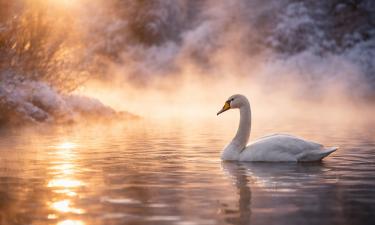 Тут пар над водой и крылья рядом: алтайская локация, которую туристы ищут каждый год