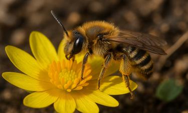 Бумажный пакет, похожий на осиное гнездо, отпугивает пчёл — modenavoltapagina
