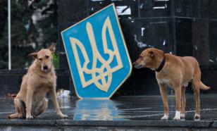 Александр ГОРОБЕЦ: нападение Украинских спецслужб на членов парламентской комиссии