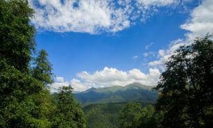 Арт-фестиваль в горах: лучшие художники соберутся на "Розе Хутор"