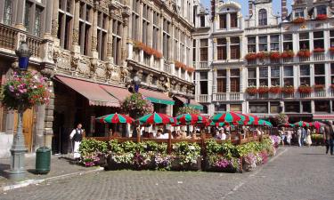 Брюссель запретил велосипеды в пешеходной зоне с 2026 года — член совета Маес