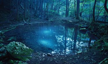 Советские режиссёры мастерски снимали пугающие хорроры