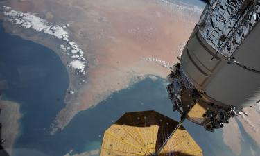 Рой стальных саранчей ломает ПВО: дешевые дроны Тегерана обнулили западные системы защиты