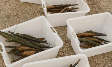 Река раскрыла тайну тысячелетий: в Боснии нашли склад, переживший кельтов, Рим и наше время