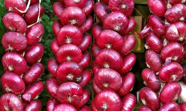 Желтый, белый или фиолетовый: какой лук должен быть на вашем столе, чтобы не болеть