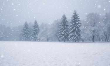 Живущая в США супруга Цекало удивилась российской зиме