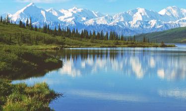 Удержи Аляску: как семья из Массачусетса построила жизнь мечты за пределами цивилизации