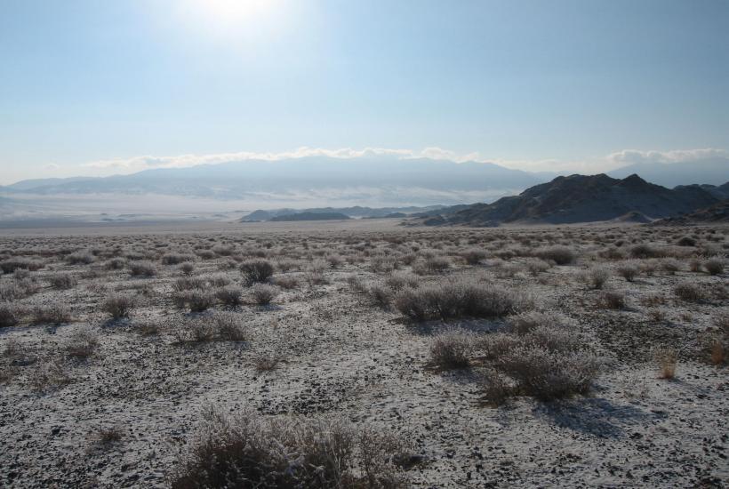 Пустыня Гоби в предгорьях хребта Бумбат-Хайрхан - panoramio