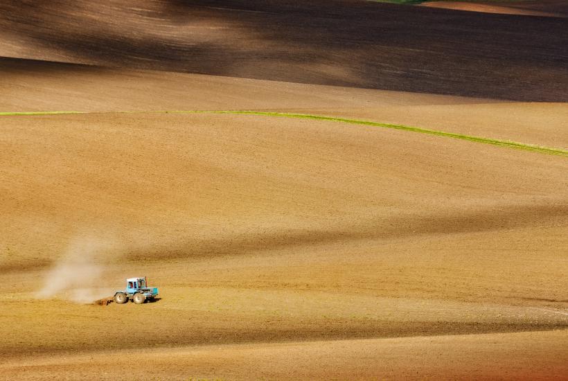 трактор т-40