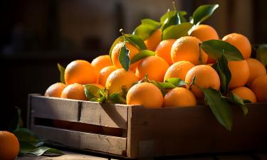 Свежие мандарины дольше хранятся при температуре +4…+8 °C