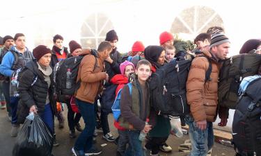 Австрийская служба занятости: беженцы намеренно проваливают языковые тесты, чтобы не работать