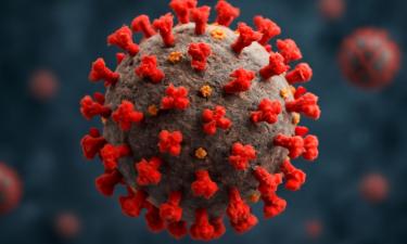 Нос молчит, а мир становится безвкусным: белки-предатели объясняют, почему запахи исчезают