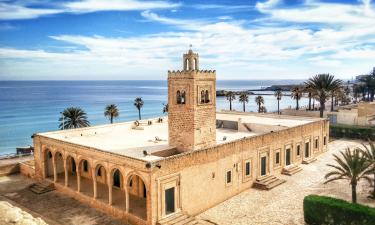 Между пальмами и пледами: направления, где зима теряет силу, а цены — высоту