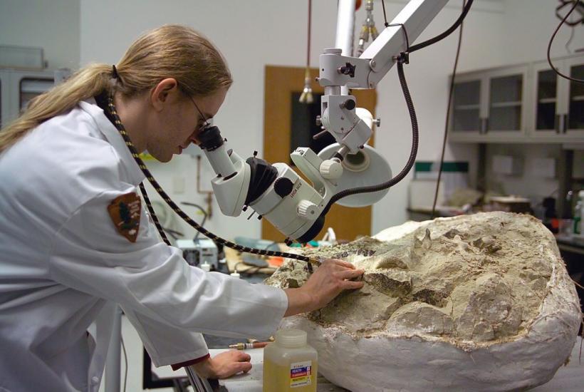 Лаборатория палеонтолога